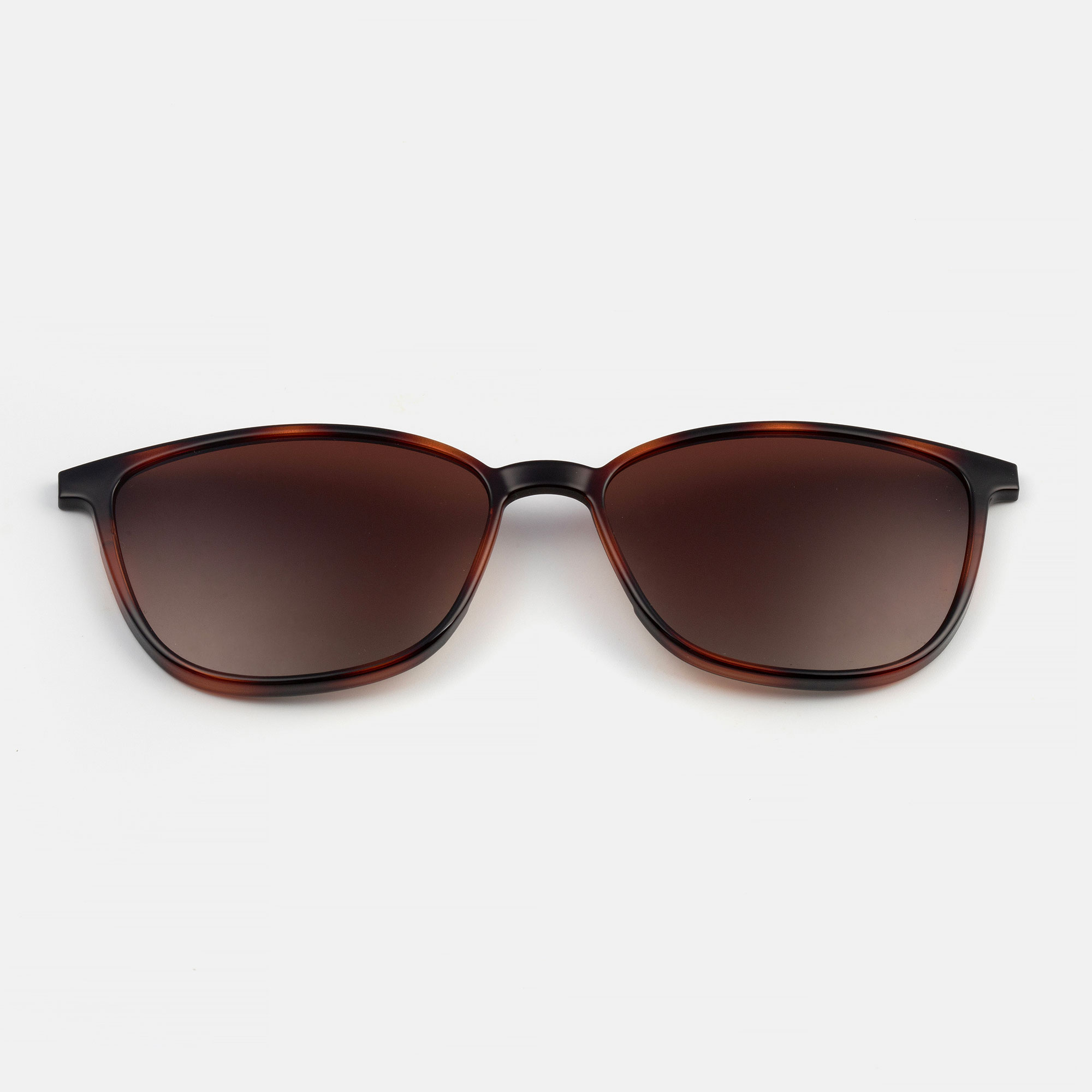 CLIP-ON 0538M EUCLIDES-ON CAREY/GOLD 53/15, , large image number 0